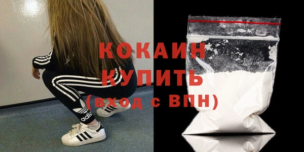ПСИЛОЦИБИНОВЫЕ ГРИБЫ Заволжье